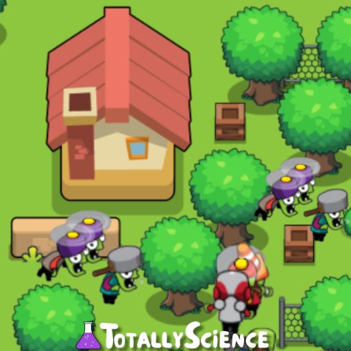 Neighborhood Defense Play Unblocked